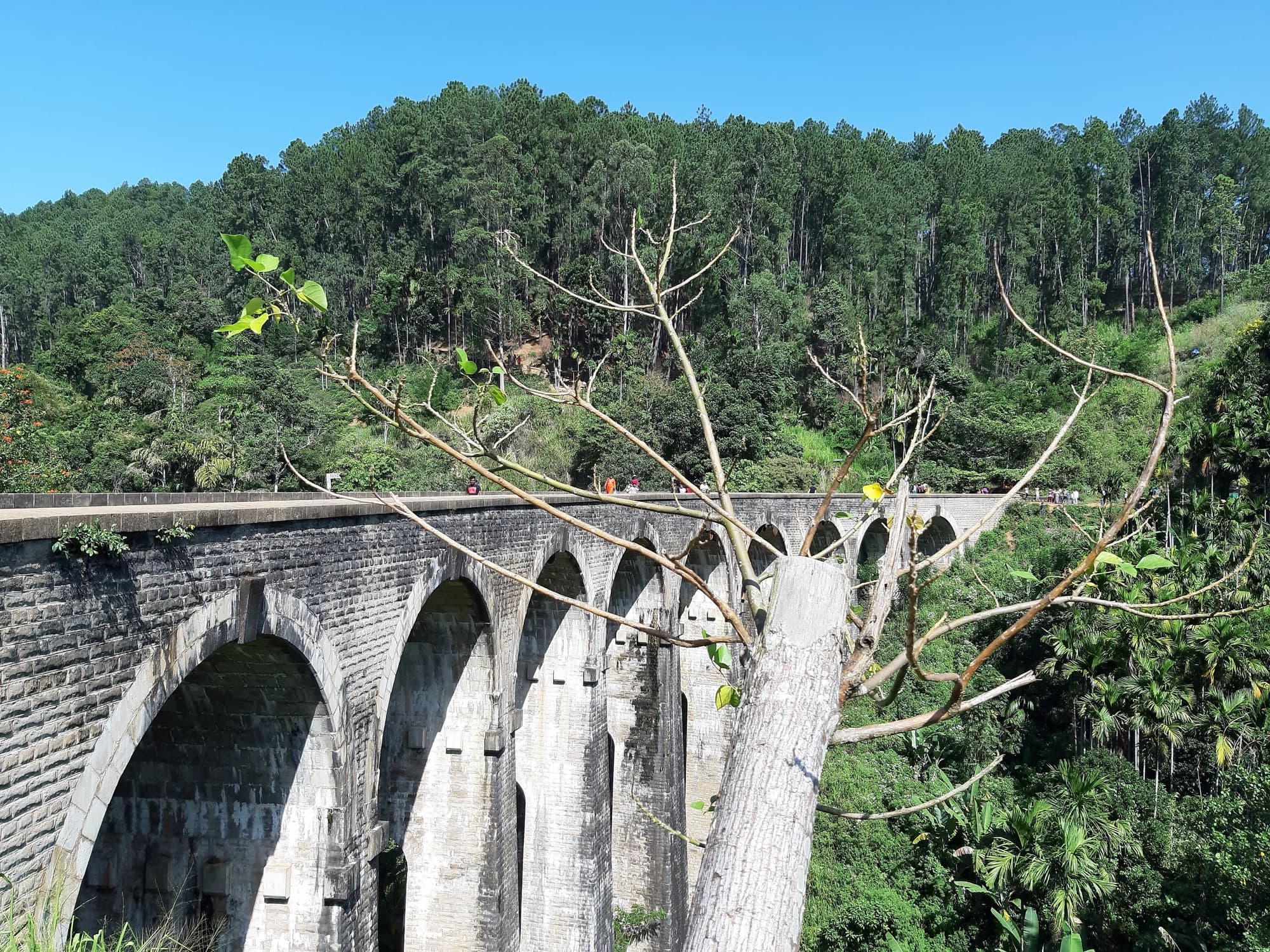 Hill Country & Tea Trails in Sri Lanka